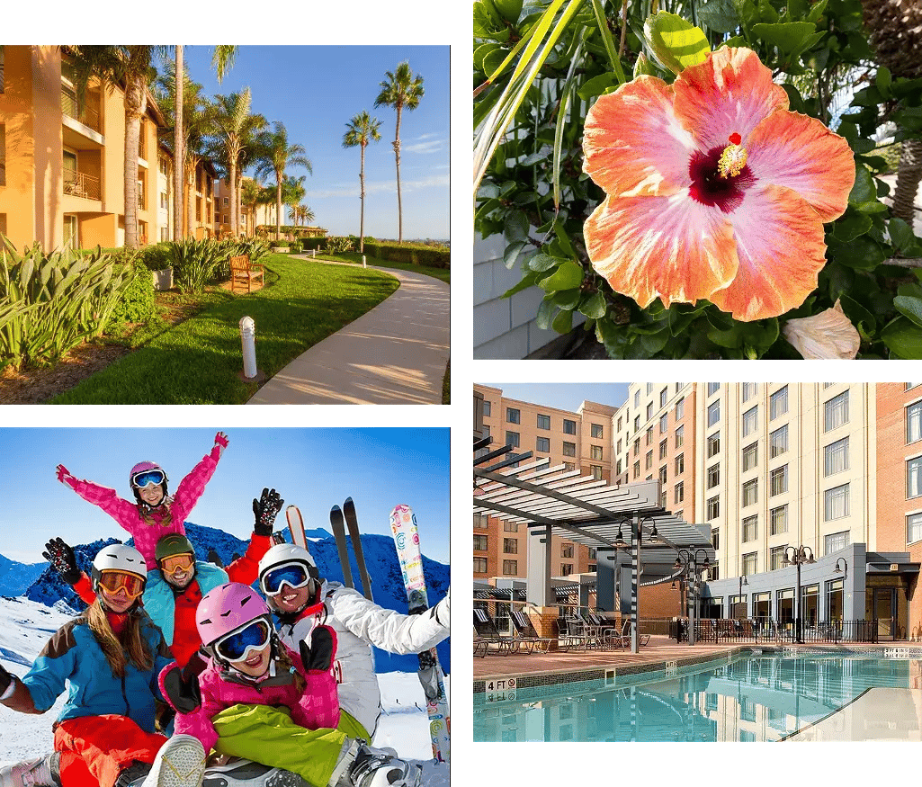 NEW QUAD v7 1025x875-D_WEBP