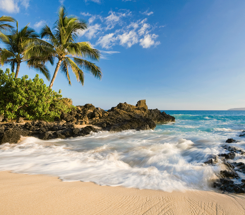MAUI-ROCK-BEACH-L-800x700