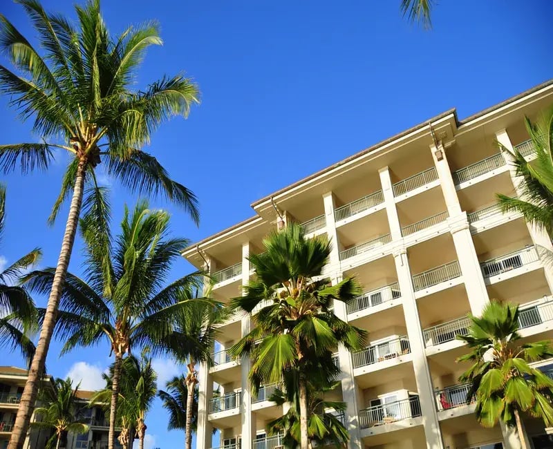 bigstock-Palm-trees-and-condos-Maui-35404121_800x650_WEBP